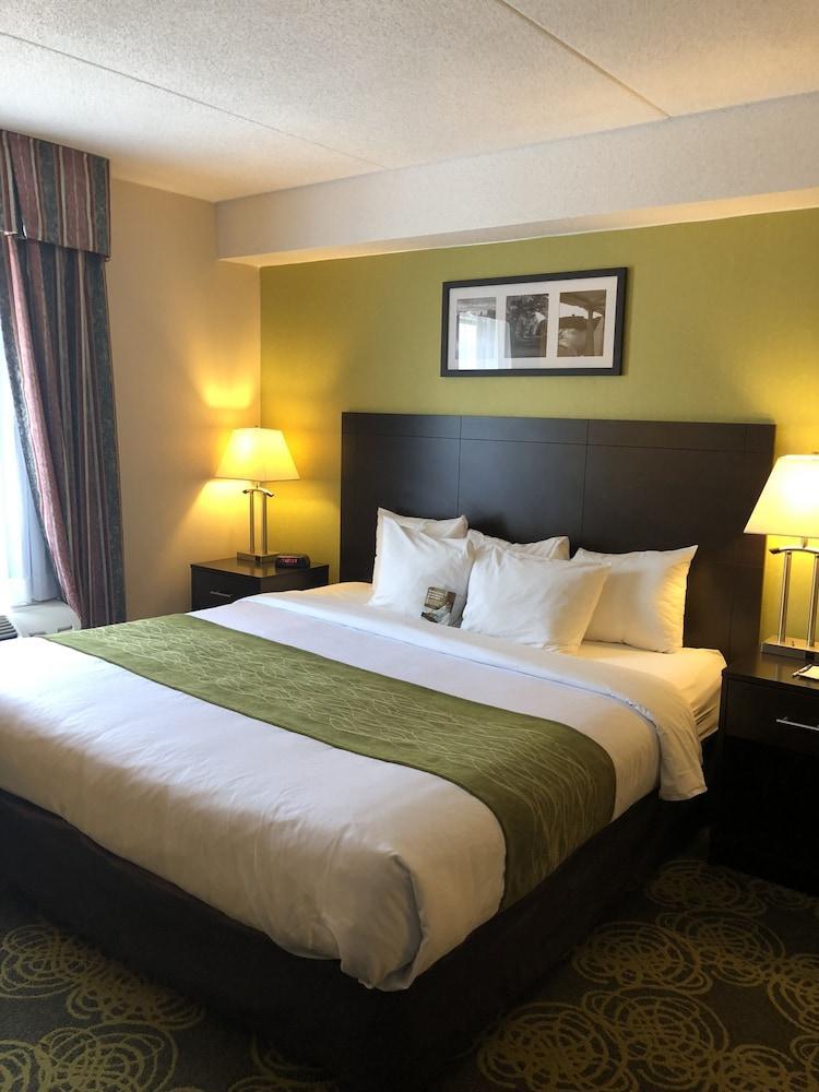 Comfort Hotel & Suites Peterborough Ngoại thất bức ảnh