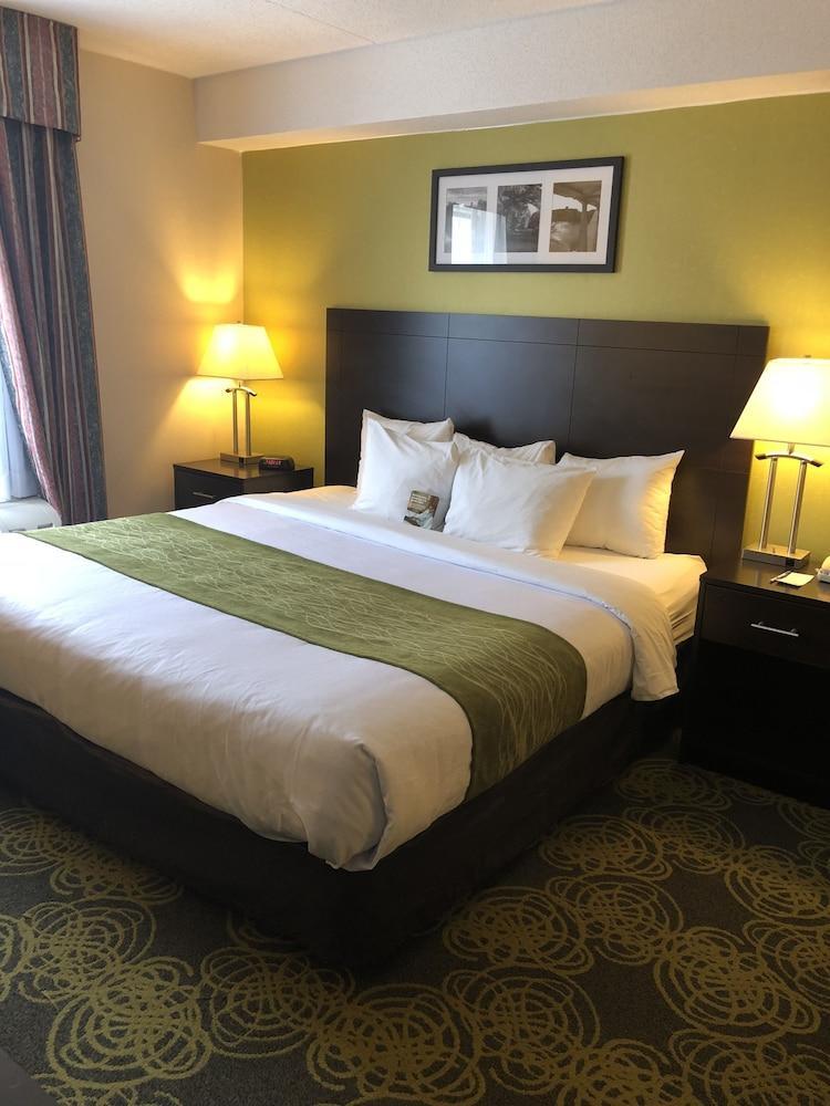 Comfort Hotel & Suites Peterborough Ngoại thất bức ảnh